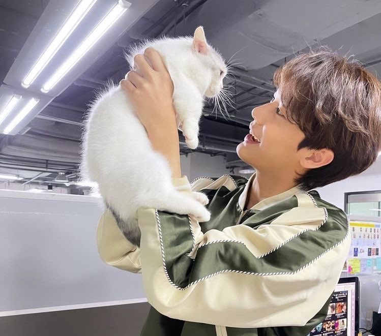 kittynaniez's tweet image. shoutout to dew with cats, gotta be one of my favorite genders