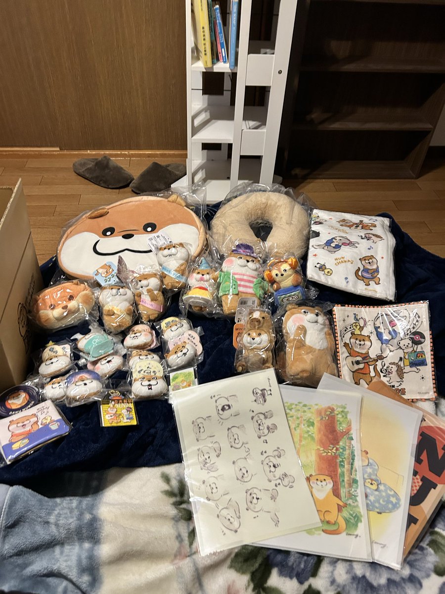 ラフィ＝ちょうぬんぬん (@lost14033080) / Posts / X