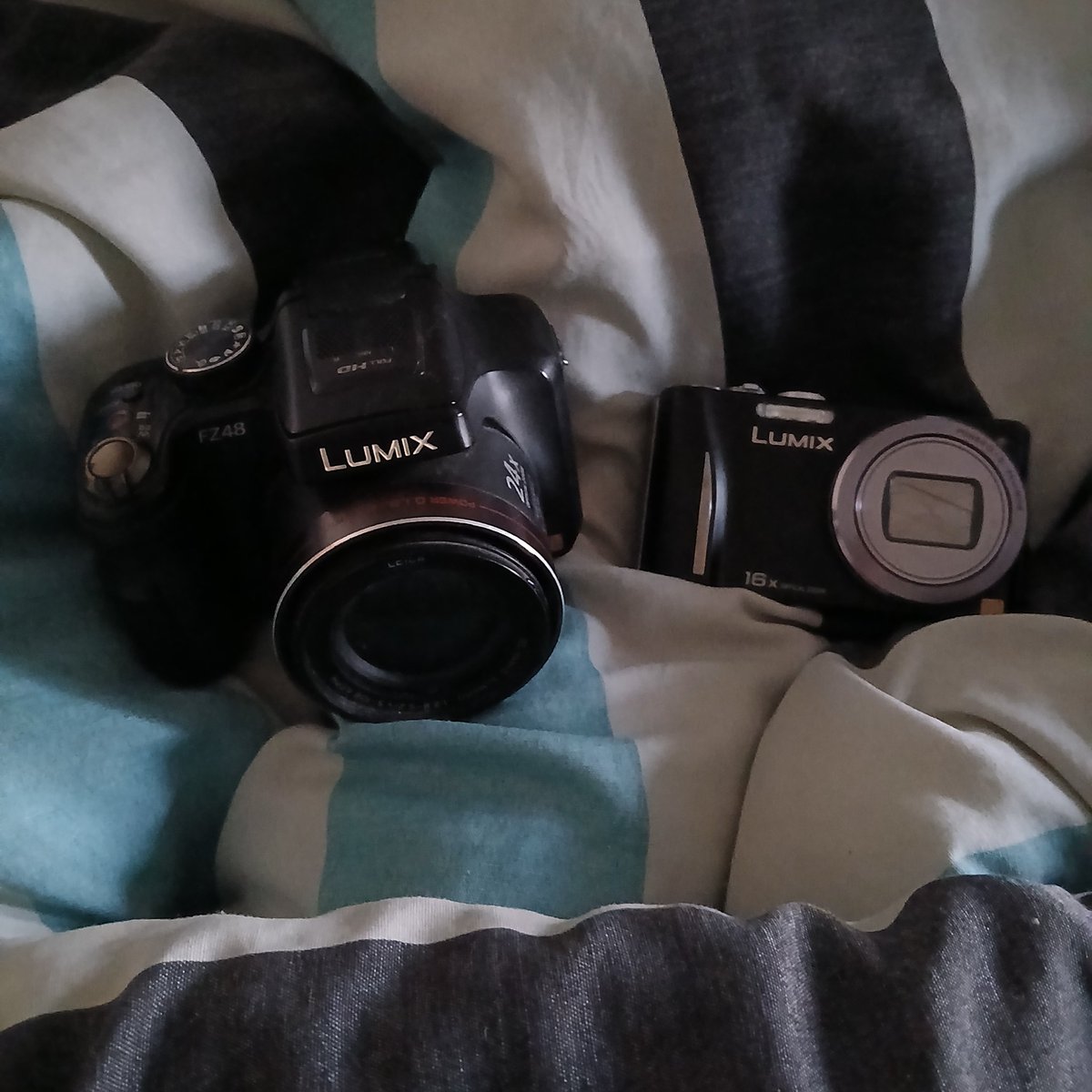 𖦏 Sami 🦡 tweet media