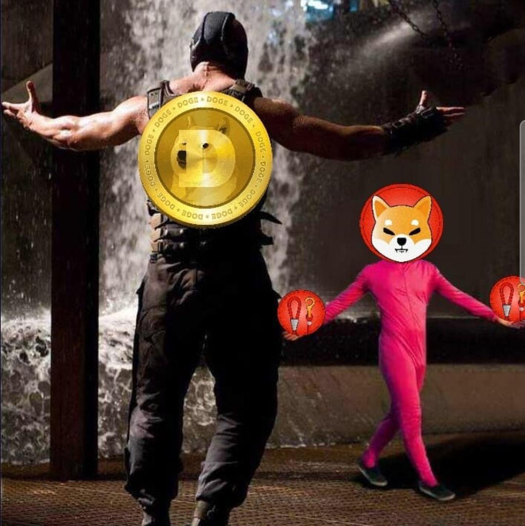 A classic #SHIBARMY meme.
An #OSCARMY fan favorite.
 #thegreatmemereset

i dont own any shib, just $OSCAR ! :D