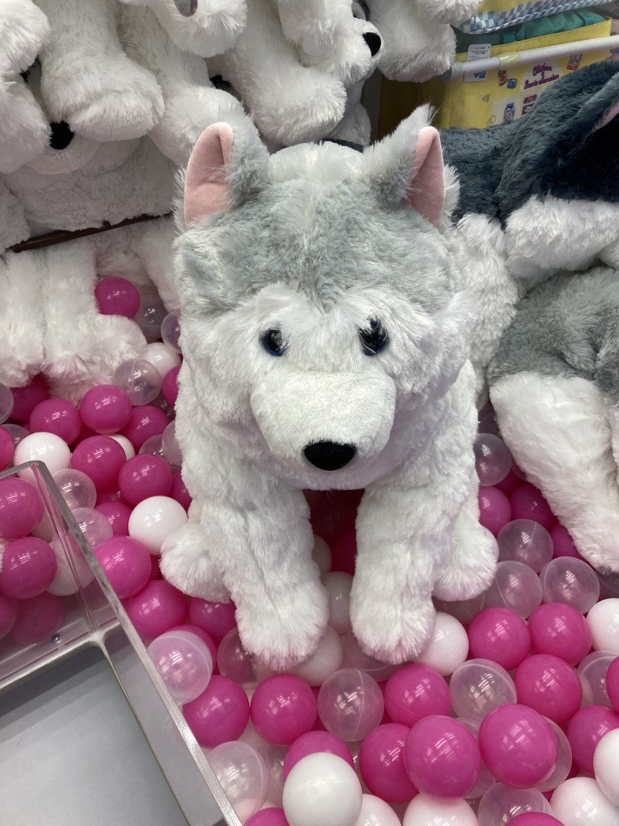 くったりもふもふシベリアンハスキーウルトラBIG』入荷いたしました