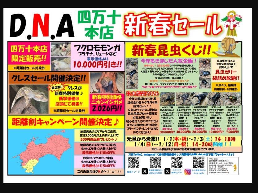📣D.N.Aは今年も1/1(木)から営業開始📣

新春セールも開催決定です♪名物虫くじはもちろん、福袋も複数ご用意しております😊

12/31(水)まではじゃんけんセール開催中、この機会をお見逃しなく👍

【在庫紹介】

✨ドンキエルコクワガタ✨
✨ニジイロクワガタ✨
✨インターメディアツヤクワガタ✨