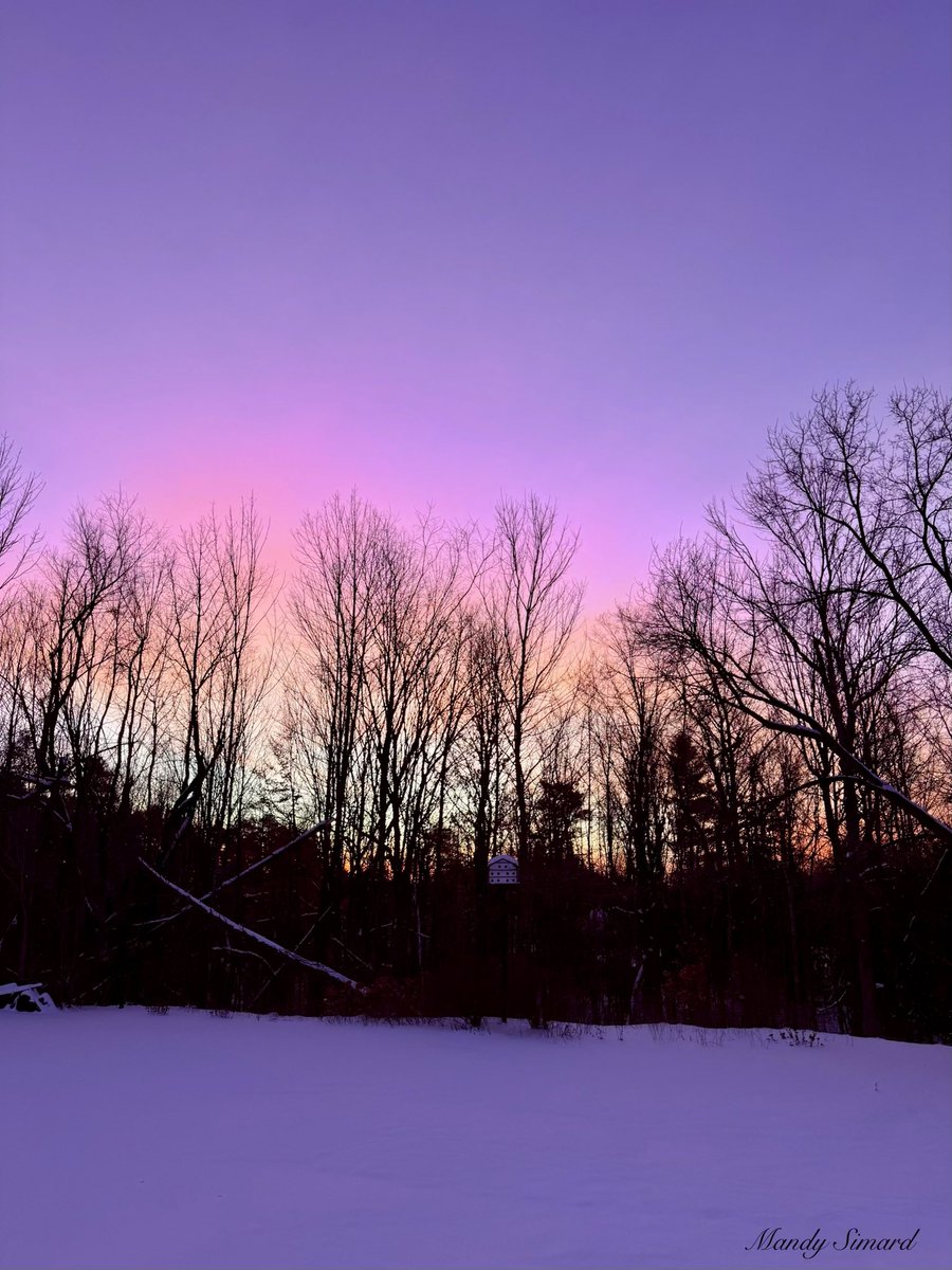 Mandy Simard tweet media