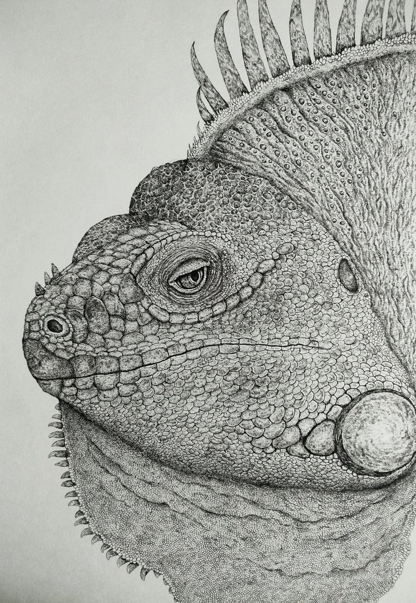 #伸びた伸びないは置いといて2025年自身が思う力作
ペンで描いたイグアナ…！