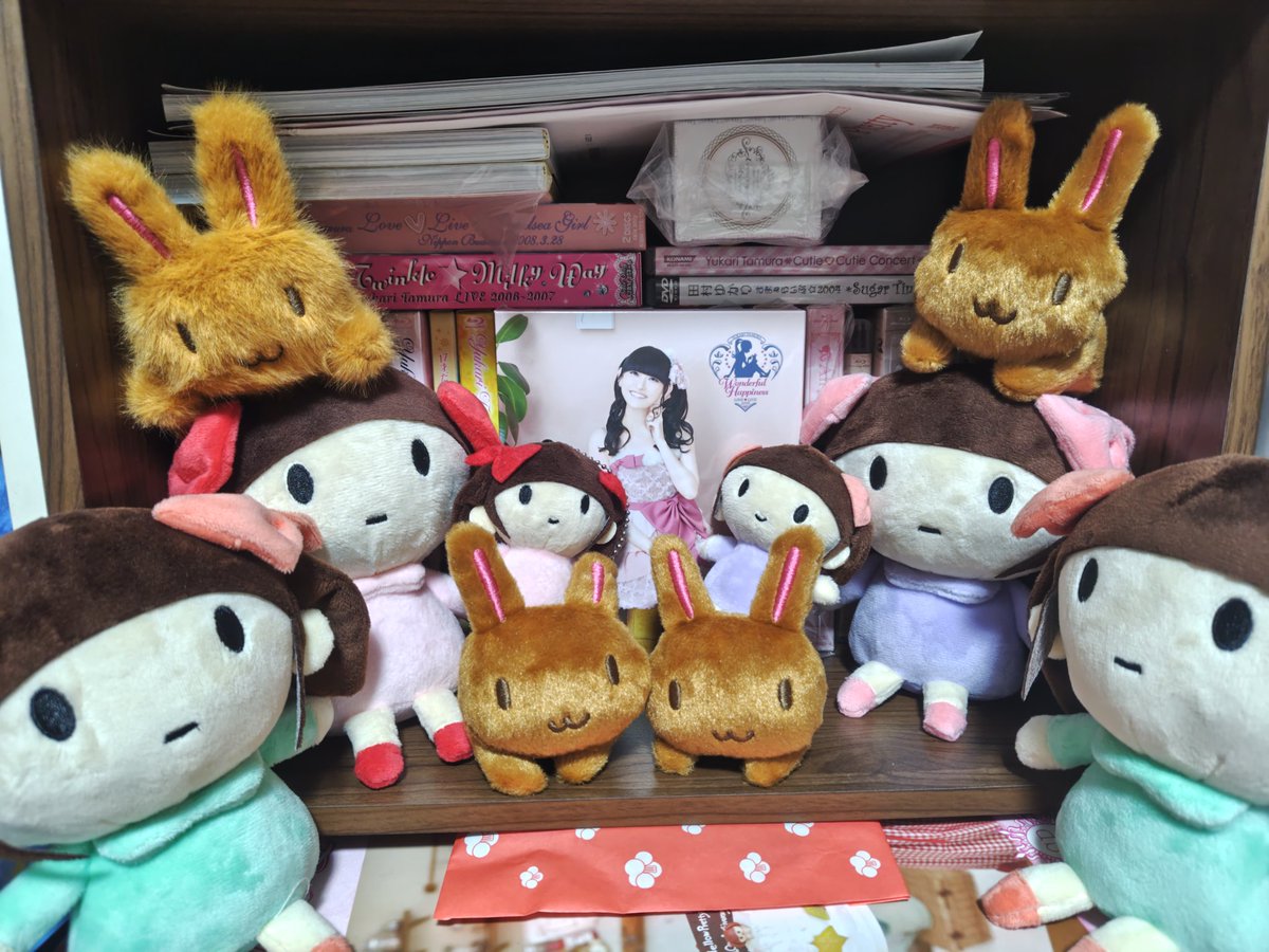 🐰ゆかりん2025ライブ円盤📀💿が我が家にも来ました