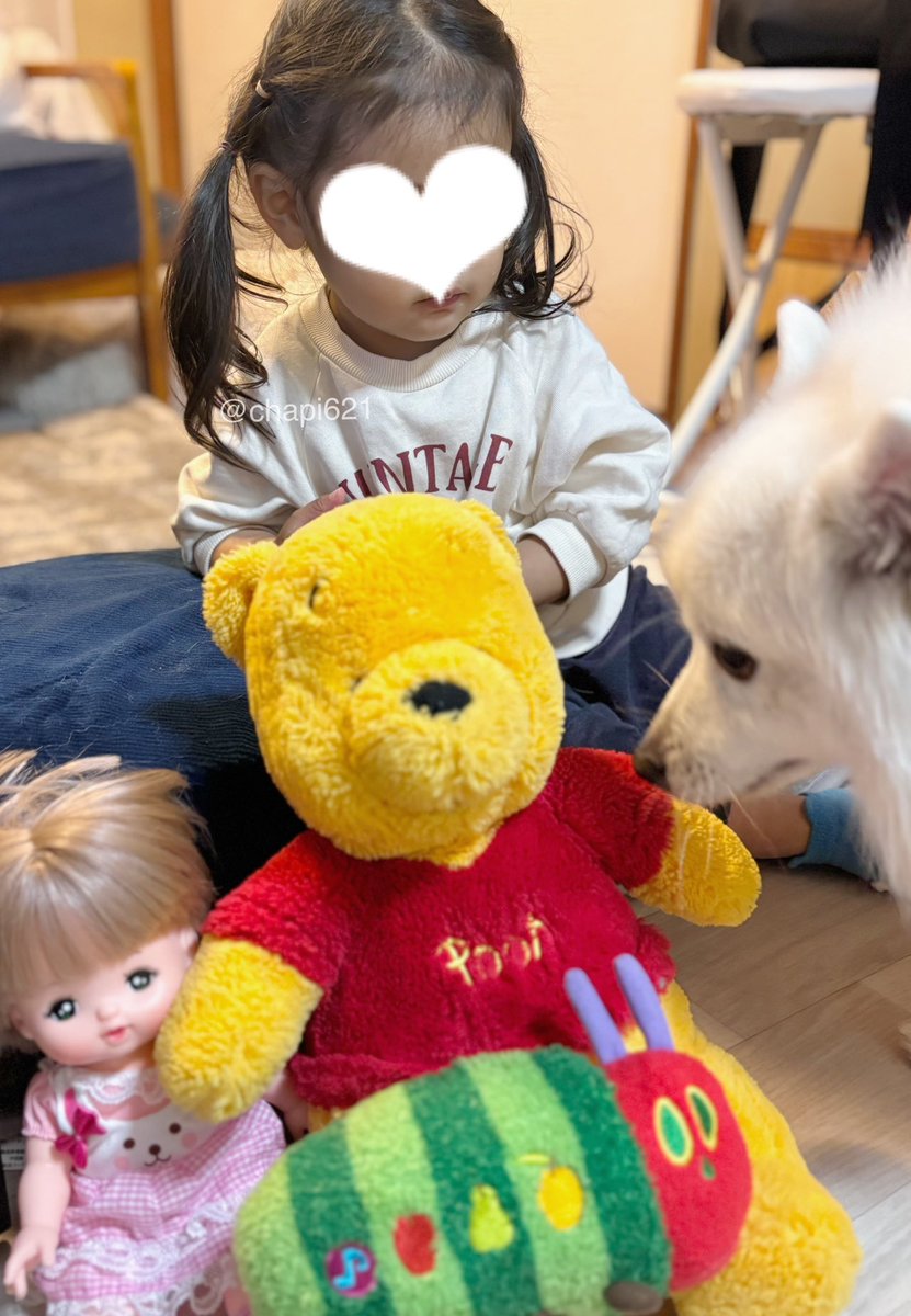 ちゃぴ ☺︎ (@chapi621) / Posts / X