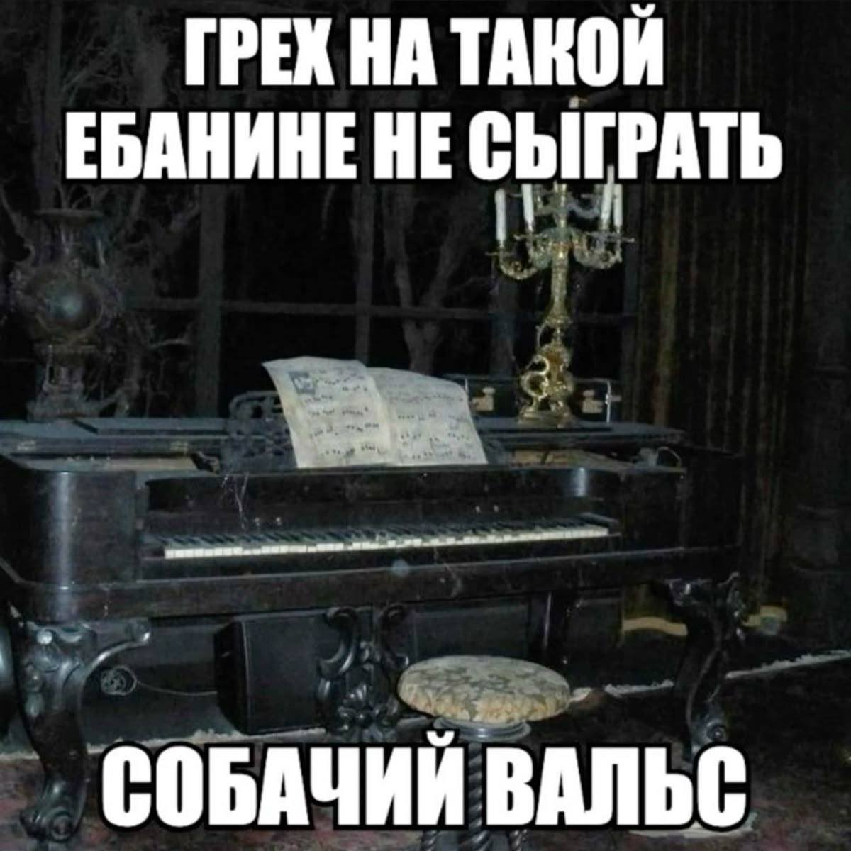 akonitmood's tweet photo. https://t.co/2RU3NYGJcj