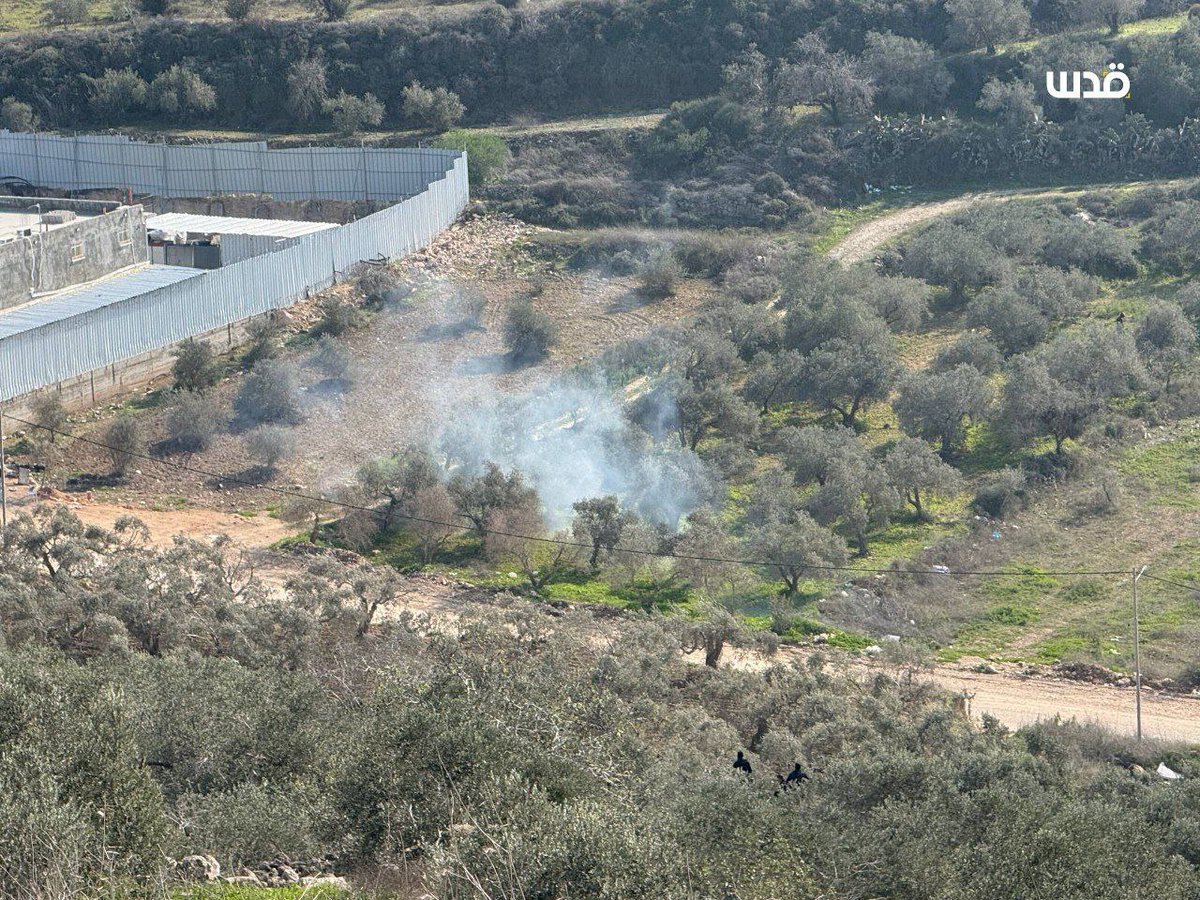 ahmedshameya995's tweet image. Israeli forces fired teargas at Palestinian villagers who tried to access their lands this afternoon near the town of Beit Lid, east of Tulkarm. Their lands are facing a threat of confiscation by the authorities.