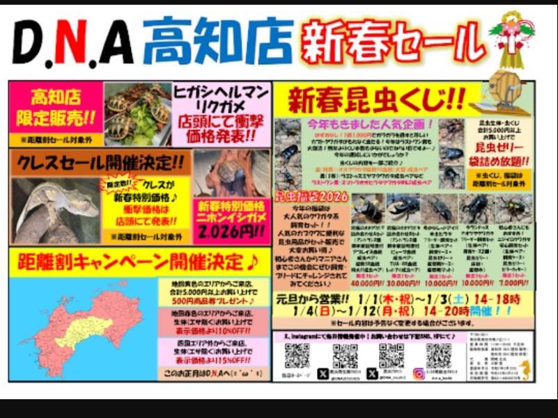 【在庫紹介】

✨ニジイロクワガタ紫紺カラー✨
✨パプアキンイロクワガタ✨
✨タランドゥスオオツヤクワガタ✨

気になる方はお早めに👍

高知店では大晦日までじゃんけんセール開催中✊✌️✋
1/1からも営業してます！年末年始はD.N.A高知店へぜひお越しください😊