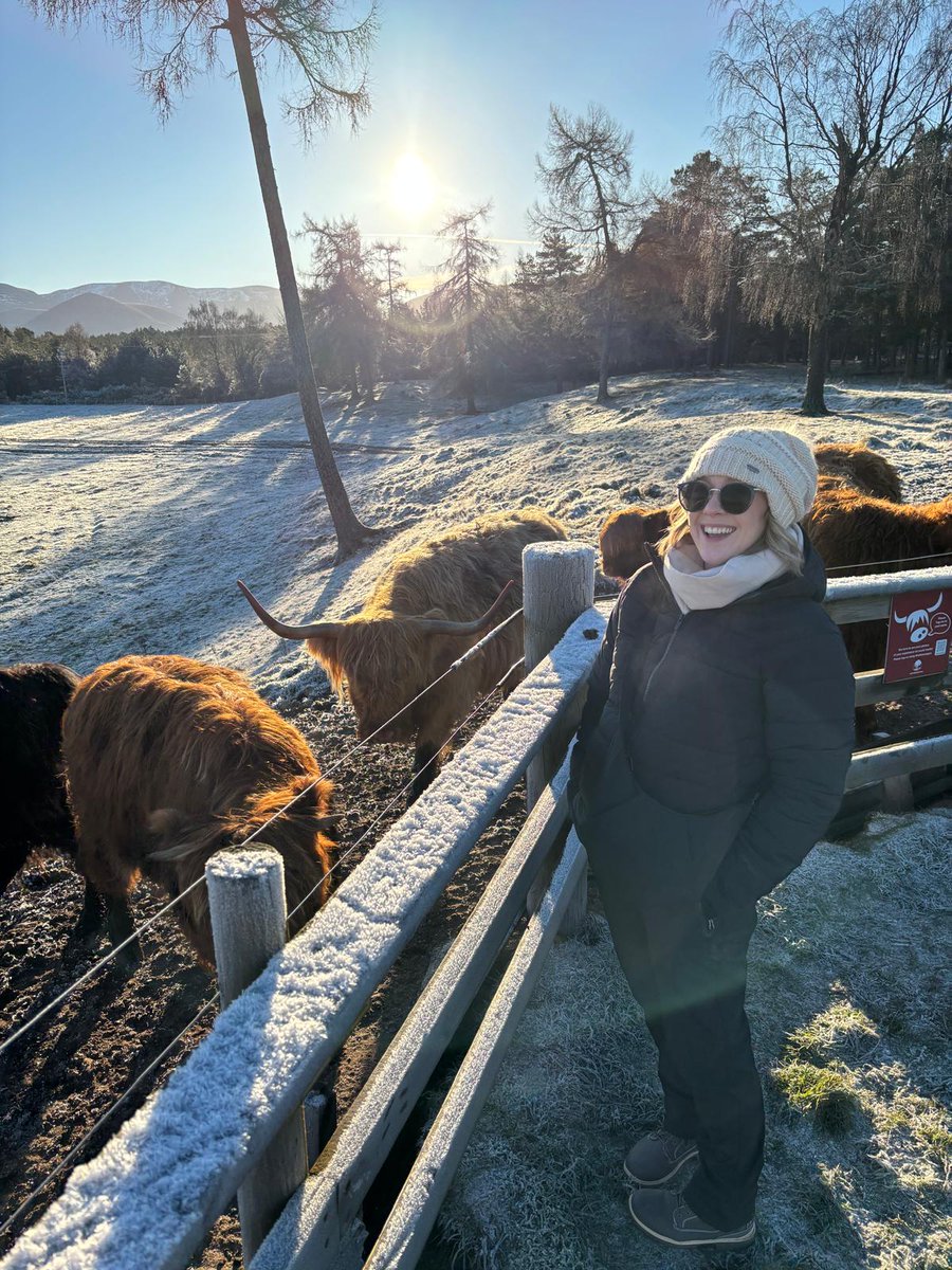 Just a girl delighted to meet the hairy coos 😍 #Scotland #Highlands #Hairycoosafari