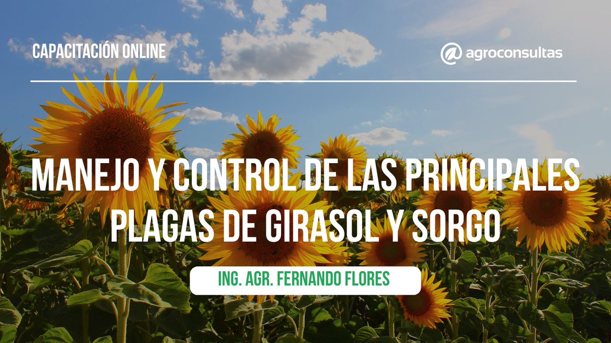 Información práctica y actualizada para tomar mejores decisiones 🌾🚀

🙋‍♂️ Ing. Agr. MSc. Fernando Flores
🌻 Esta capacitación te ofrece elementos concretos para detectar y controlar las principales plagas que afectan a los cultivos de girasol y sorgo

👉🏻 agroconsultas.online/cEkK15