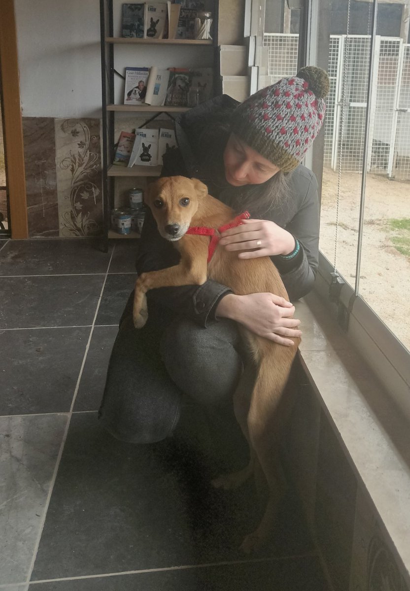 Lily kızı ziyarete gittik bugün mamasını ve oyuncaklarını götürdük. Biraz daha boy atmış daha da cana yakın olmuş pırpır bir melek 🫠 hala yuva arayan biri kendisi...