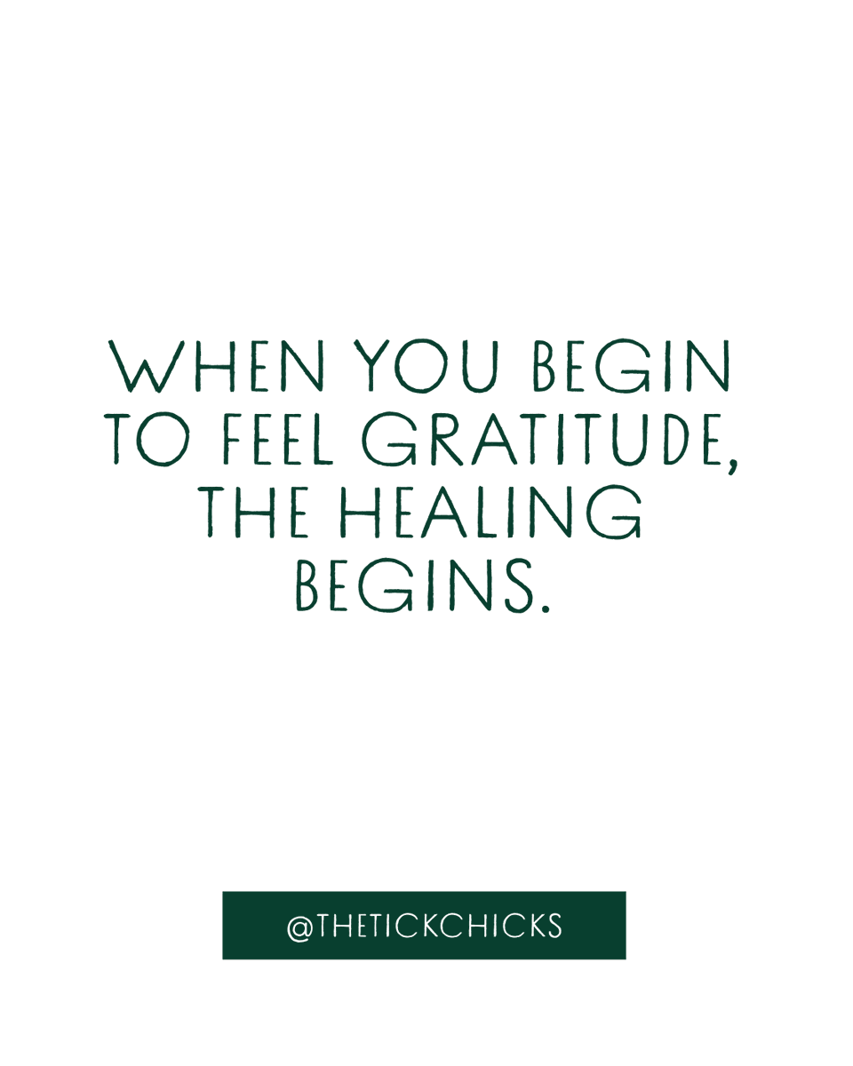 The Tick Chicks tweet media