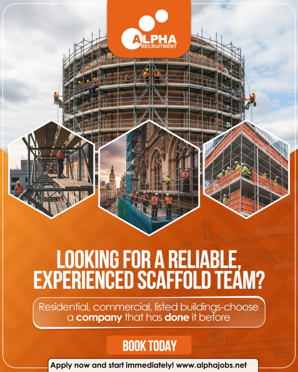 Alpha Recruitment UK 🇬🇧 tweet media