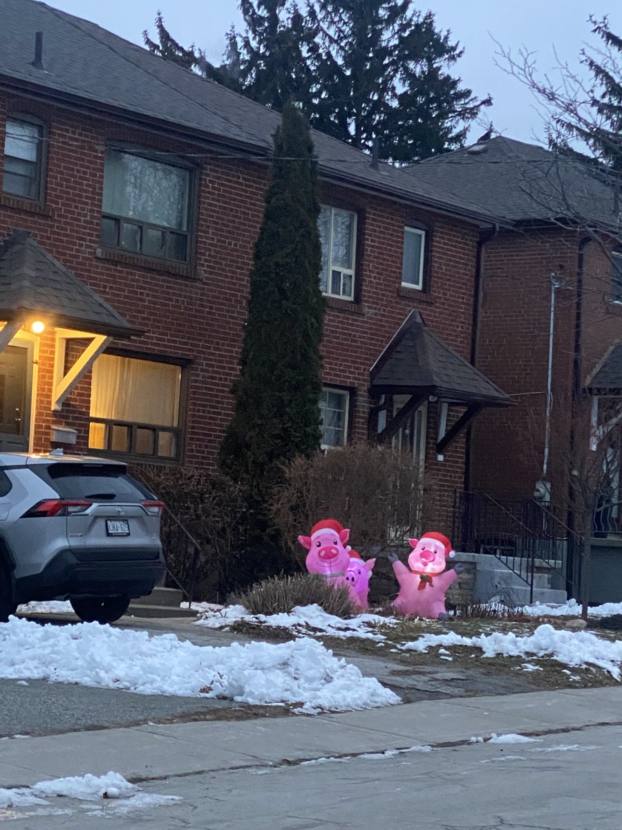 Good Morning Twitter Friends 🙋🏻‍♀️😉☕️
Happy Friday Everyone!! Enjoy Boxing Day you big shoppers 😂