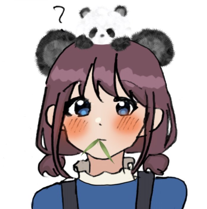 パンダ•*¨*•.¸♬︎ 6点リクエスト Post by パンダ総統 on X: 🐼🐾