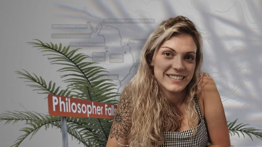 Jacob Shell tweet media