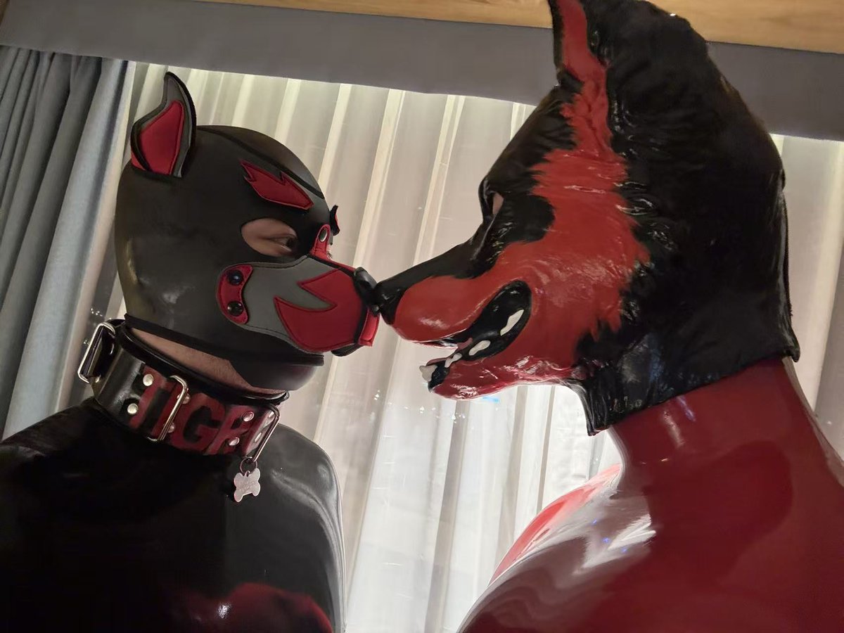 小狗与大狗
小狗<a href="/TigrottoTG/">RubberPupTG</a>