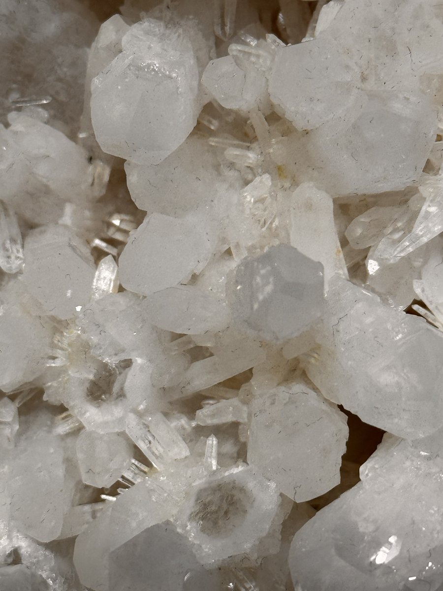 mgasta25's tweet image. 持っていく予定のクラスターです。

日本式双晶が数えたくない程に付いていて、中には両翼6cm以上の物があります。さらに鳥型三連双晶と思われる物も!
そしてチンワルド式双晶も13個以上付いています。

チンワルド式は中々実物を見ることが出来ない珍しい物なので是非見に来てくださいね!