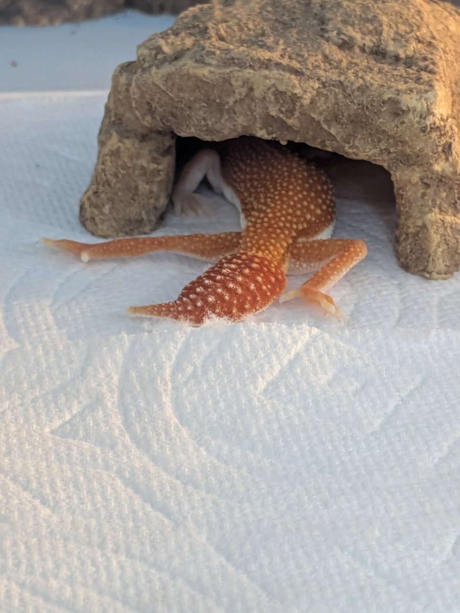 カッチ😀
リラックス出来てるようで良かったです💜