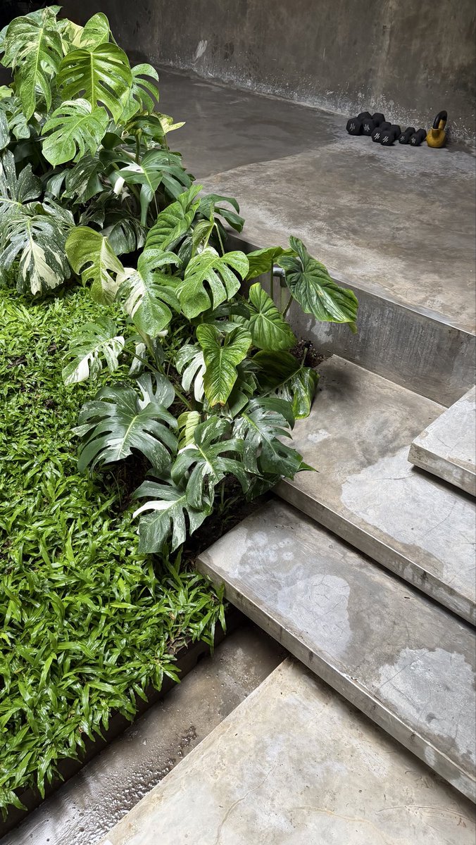 Upil 🪴- Adawiyah Riwan tweet media