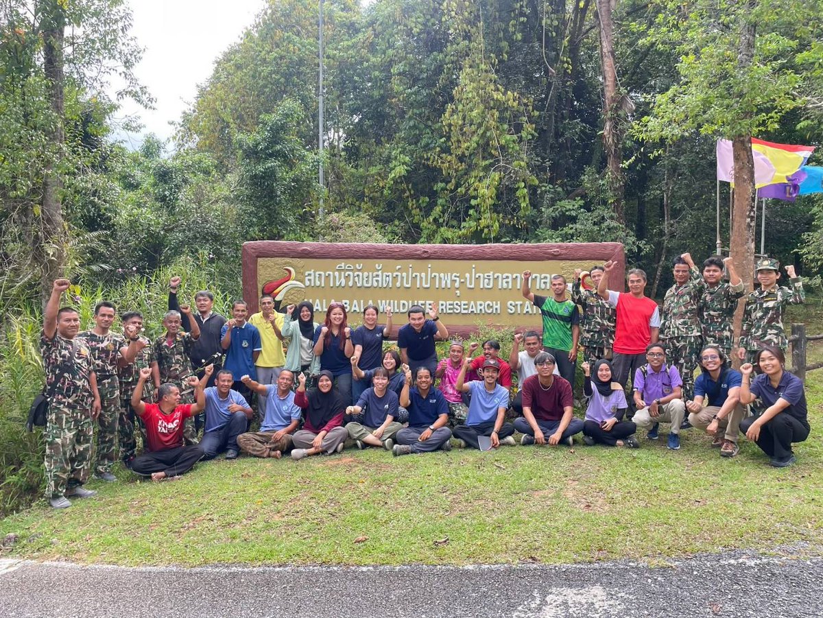 DNPnews_'s tweet image. ข่าวดีแห่งวงการอนุรักษ์! กรมอุทยานฯ – แพนเทอรา ยืนยันการกลับมาของ “แมวป่าหัวแบน” ในป่าพรุโต๊ะแดง หลังหายไปนานเกือบ 30 ปี พบหลักฐานสำคัญ “การสืบพันธุ์ในธรรมชาติ”