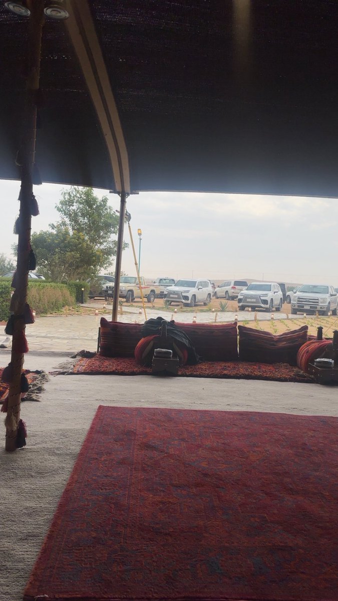 محمد الدويش tweet media