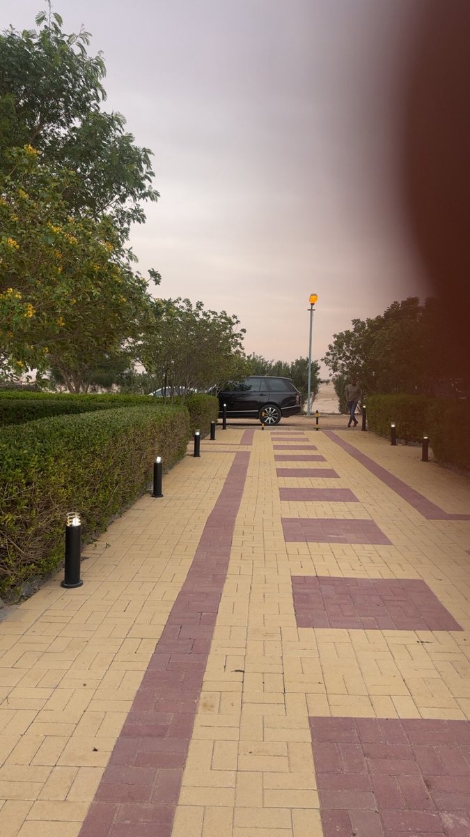 محمد الدويش tweet media