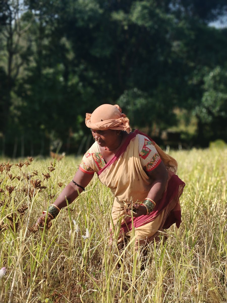 D-COR : Development Corner tweet media