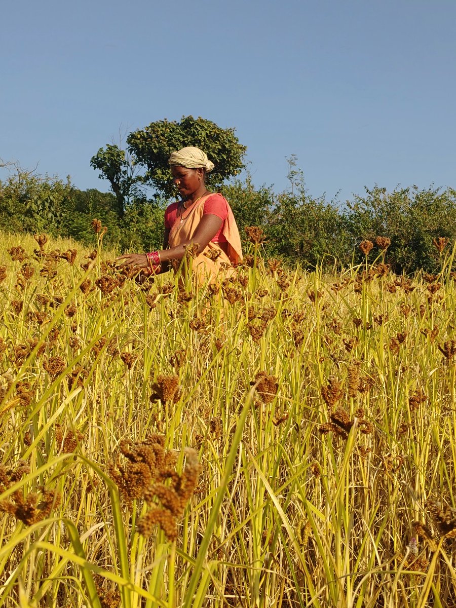 D-COR : Development Corner tweet media