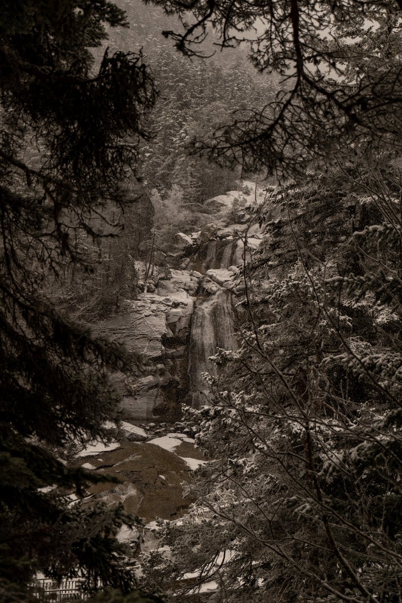 Raphael Barberi📷 tweet media