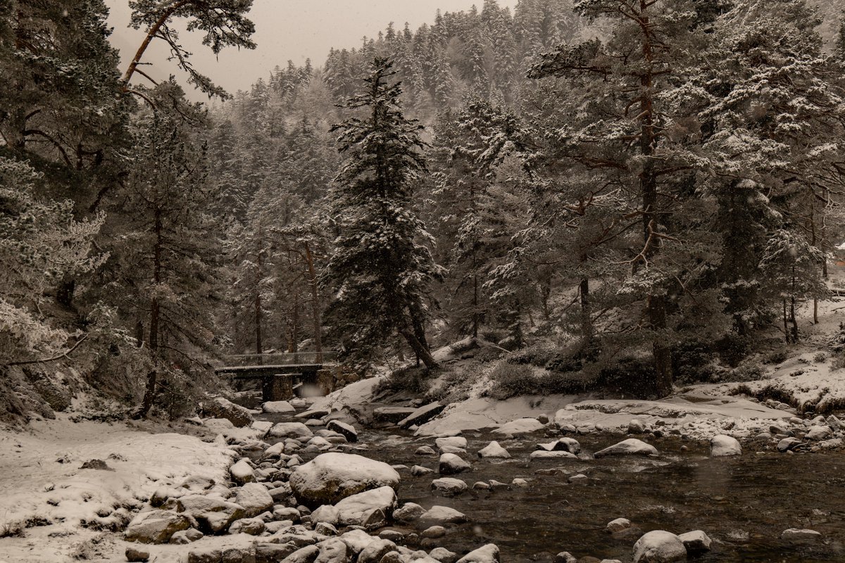 Raphael Barberi📷 tweet media