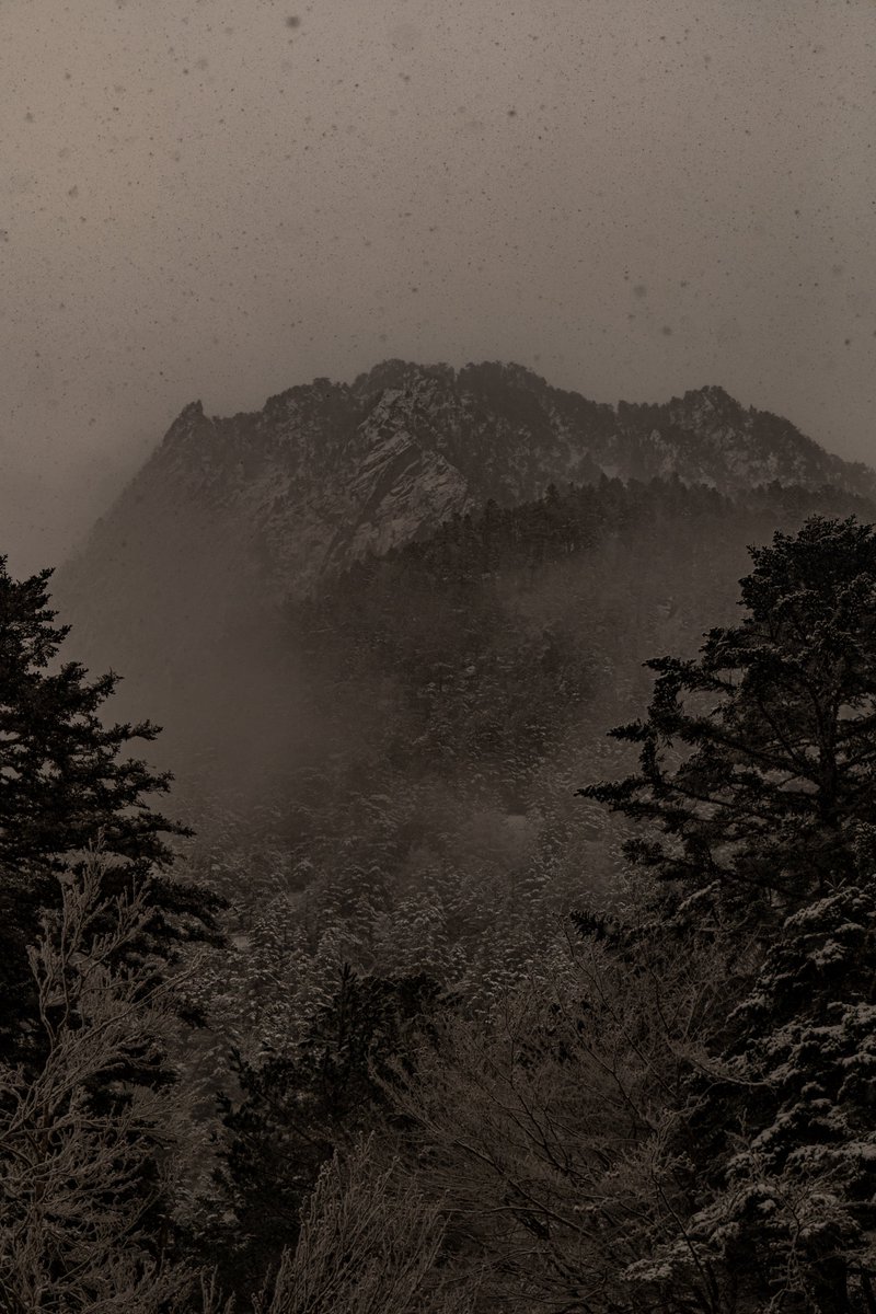 Raphael Barberi📷 tweet media