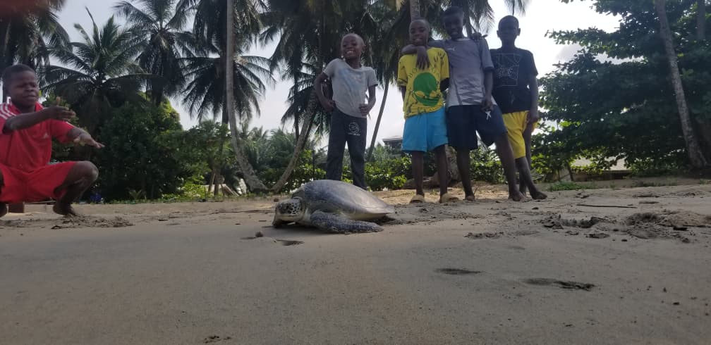 Tube Awú Ebodje tweet media