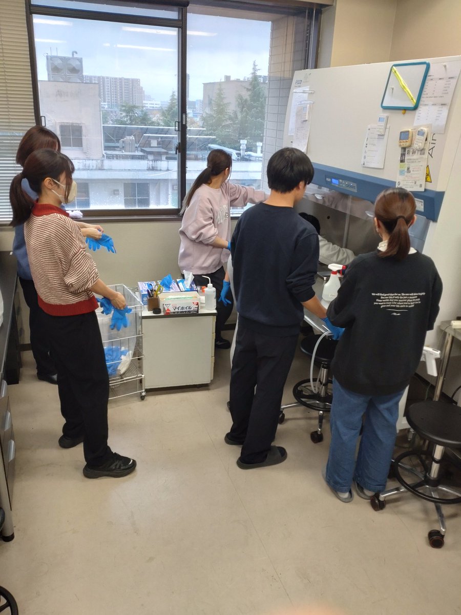 Nakashima Lab (熊本大学 中島研究室) tweet media