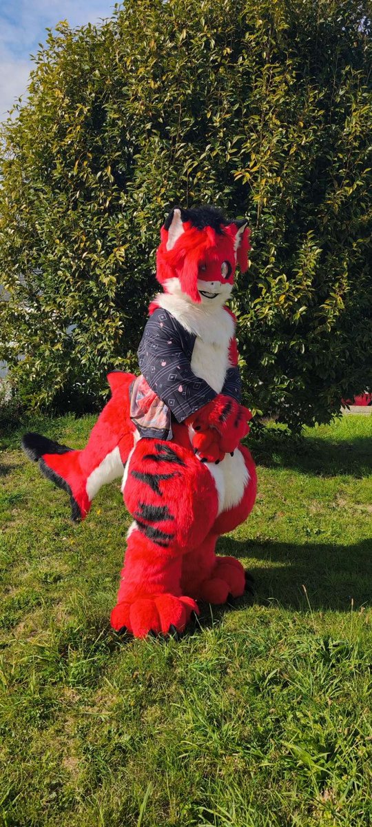 Sharkingos tweet media