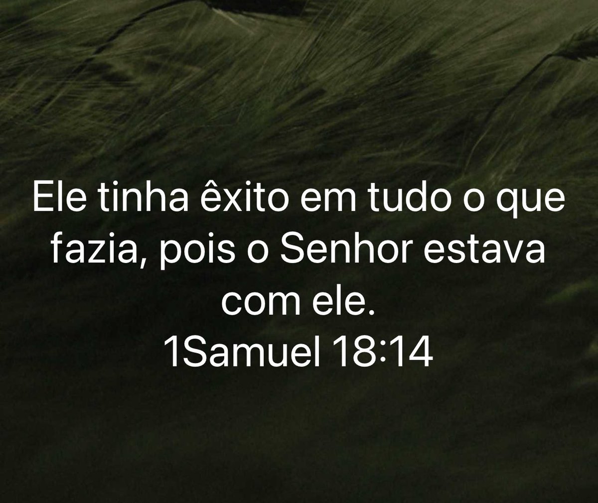 prtiagoferreira's tweet photo. 1 Sm 18 nos lembra que o sucesso de Davi não vinha de sua força, mas da presença de Deus. O verdadeiro êxito não está nos resultados visíveis, mas em caminhar sob a direção do Pai. Quando o Senhor está conosco, até os desafios se transformam em propósito!

#rpsp
#primeiroDeus https://t.co/WhrBjhS1oX