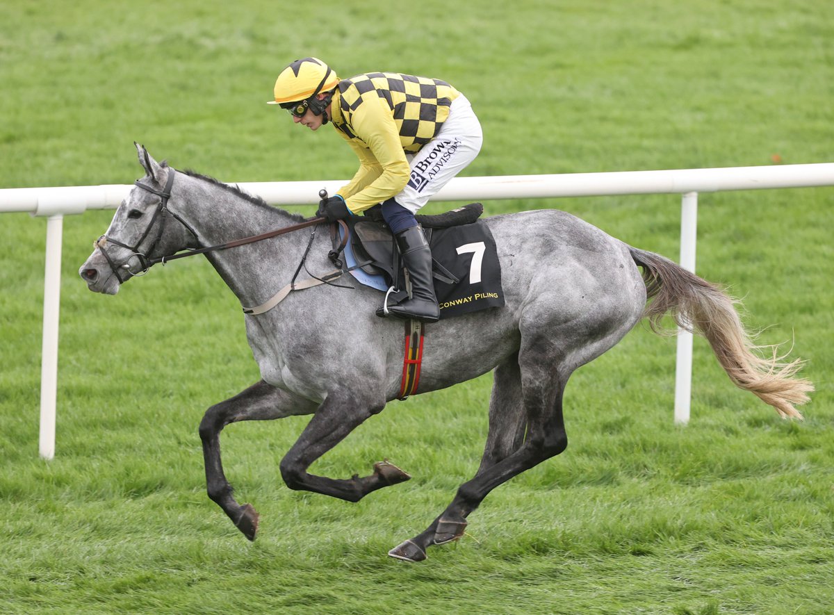 RacingPost's tweet image. 🎉 Kitzbuhel WINS the Ladbrokes Kauto Star Novices' Chase!

What a round of jumping that was