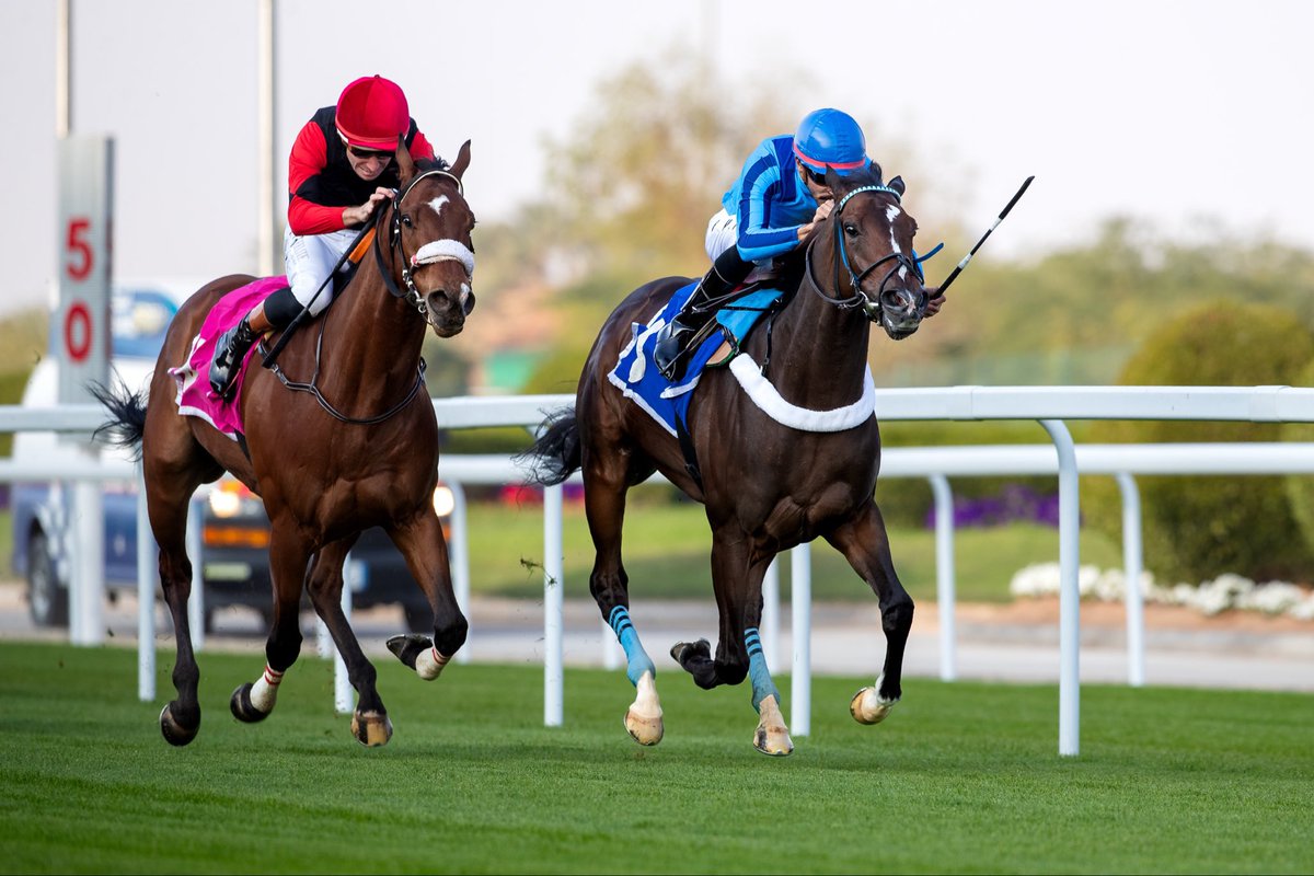 الإسطبل السماوي tweet media