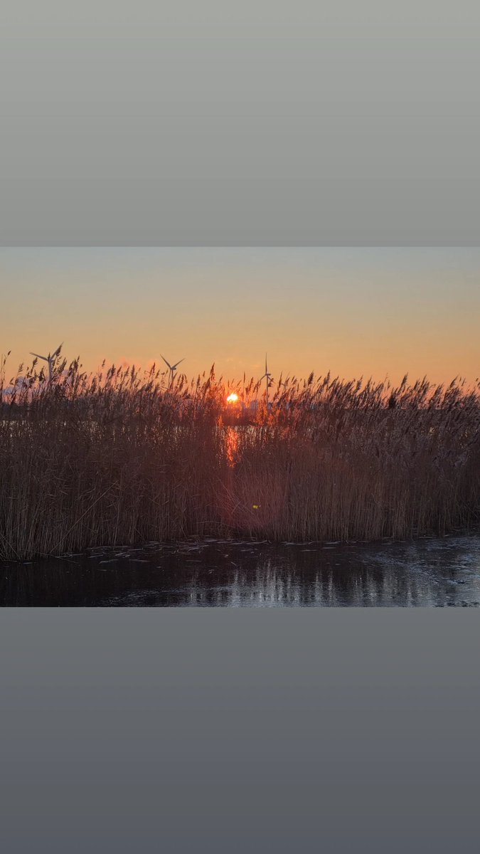 WA__C_Hoofddorp's tweet photo. Vanmorgen een prachtige zonsopgang. Mijn tweede ochtenddienst met kerst. Mijn collega kwam te laat vanmorgen ( dus taart trakteren) maar gelukkig was de zon wel op tijd :) #noodhulp #kerst #wijkagenten #Haarlemmermeer https://t.co/iMAELGGAUc