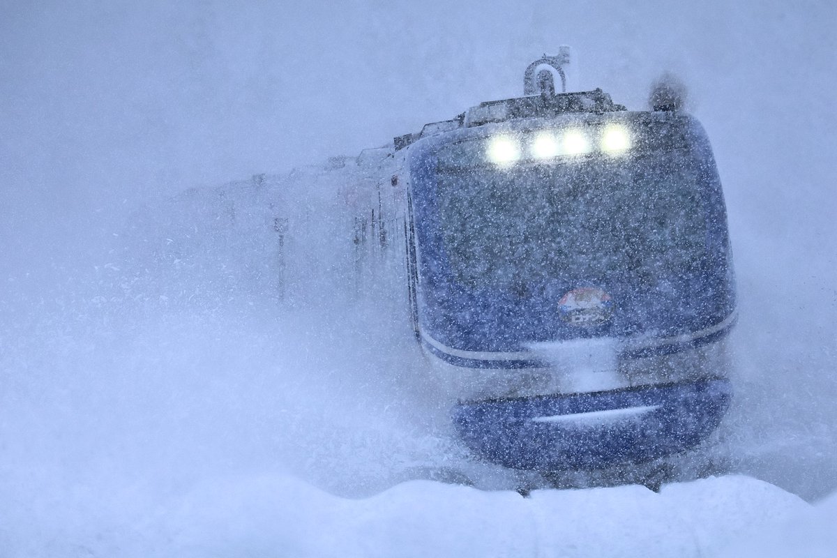 うめちゃん (@t7XUrkaYgvlSBPE) / Posts / X