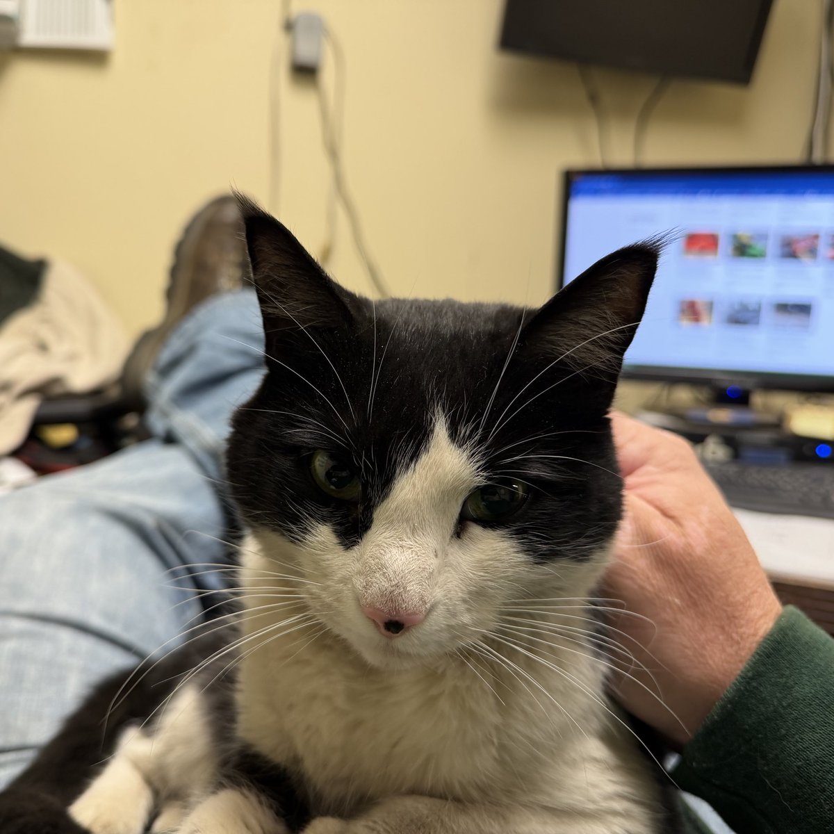 Howard Szczurek tweet media