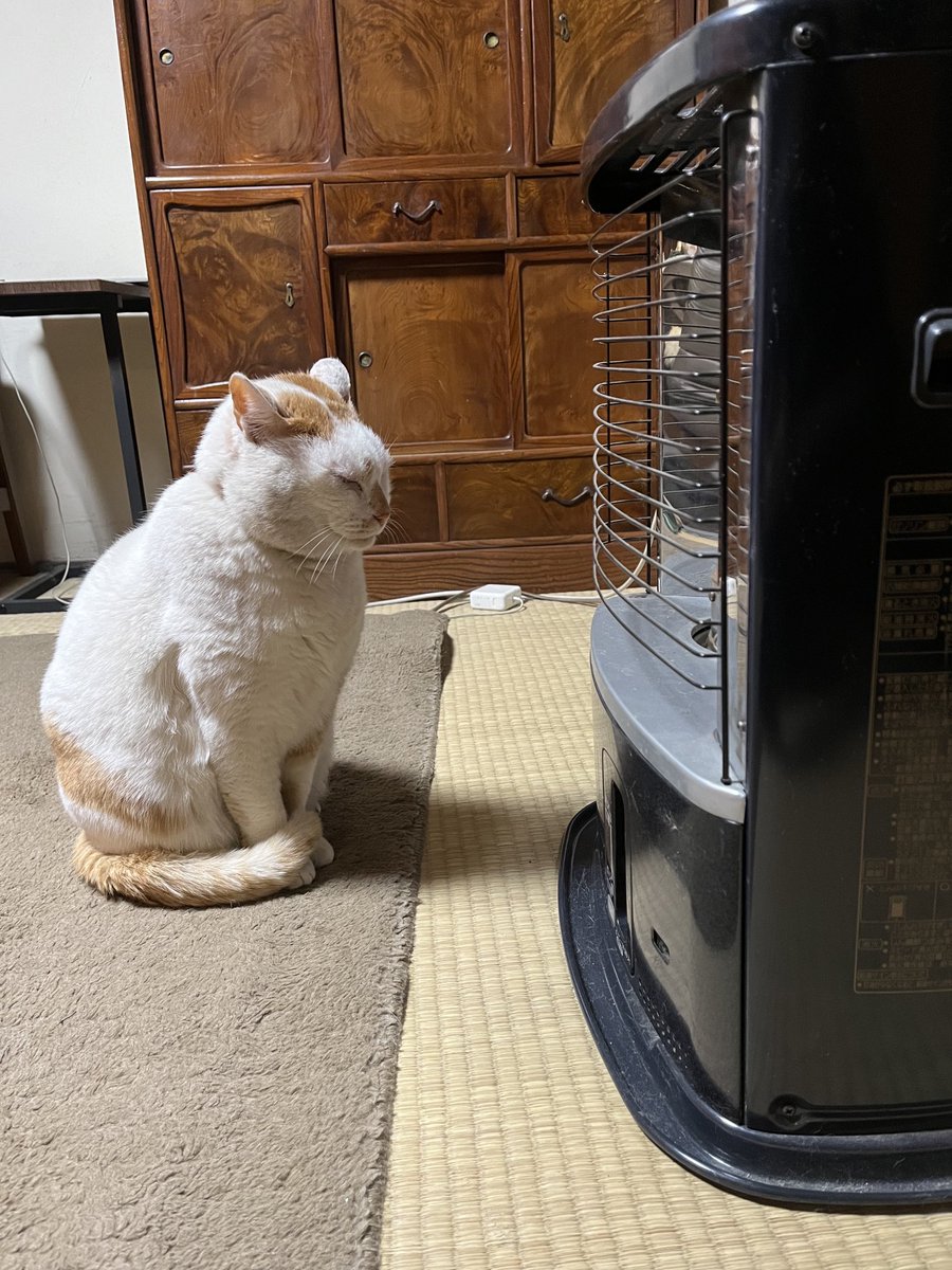 寒波。ストーブと交信中