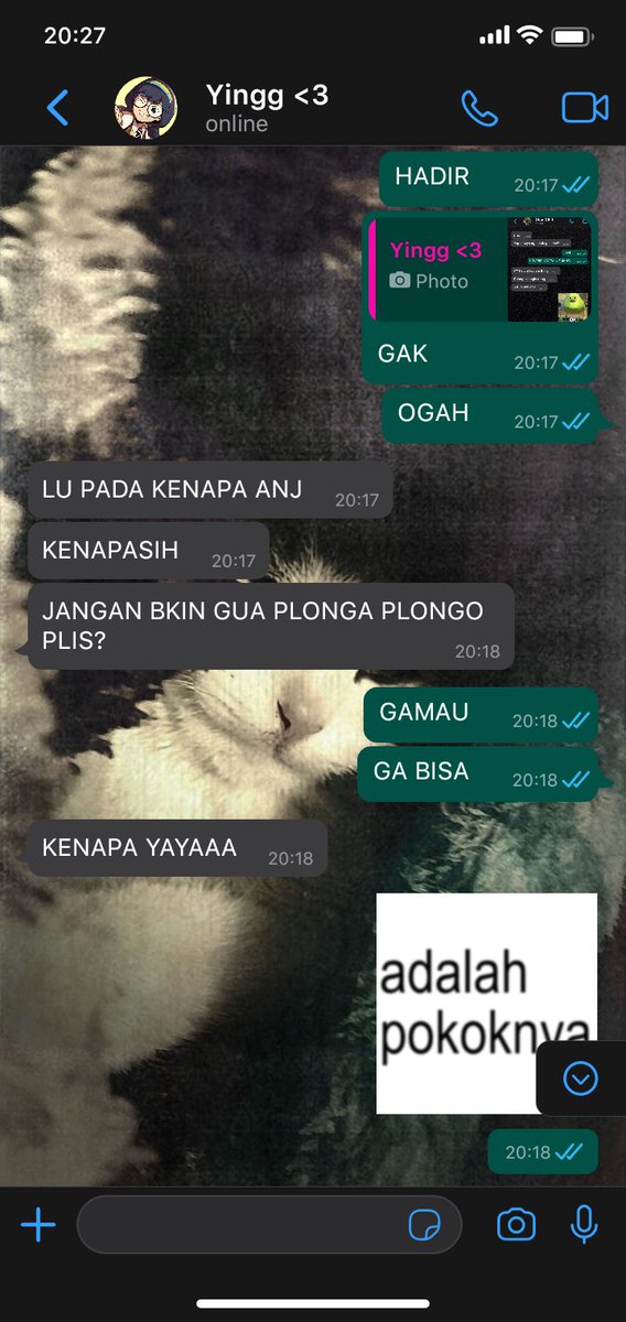 chebbyriess's tweet image. #boya ft. ying one tweets au
— ada lah pokoknya
