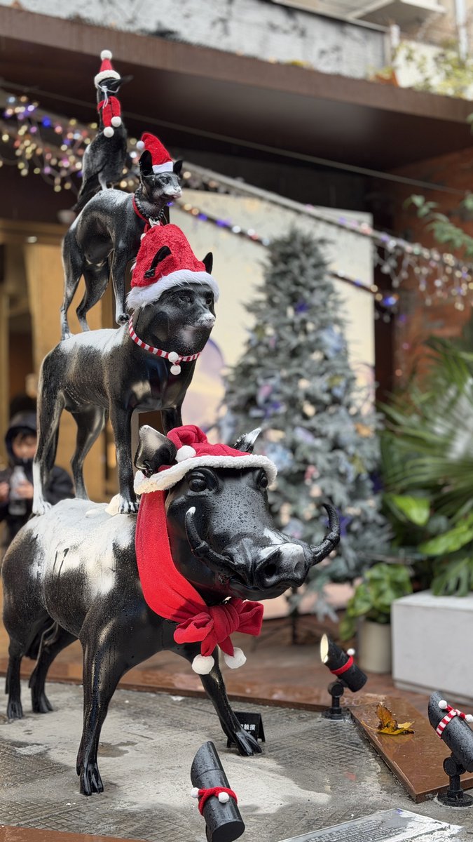 decynug's tweet image. babi menopang anjing