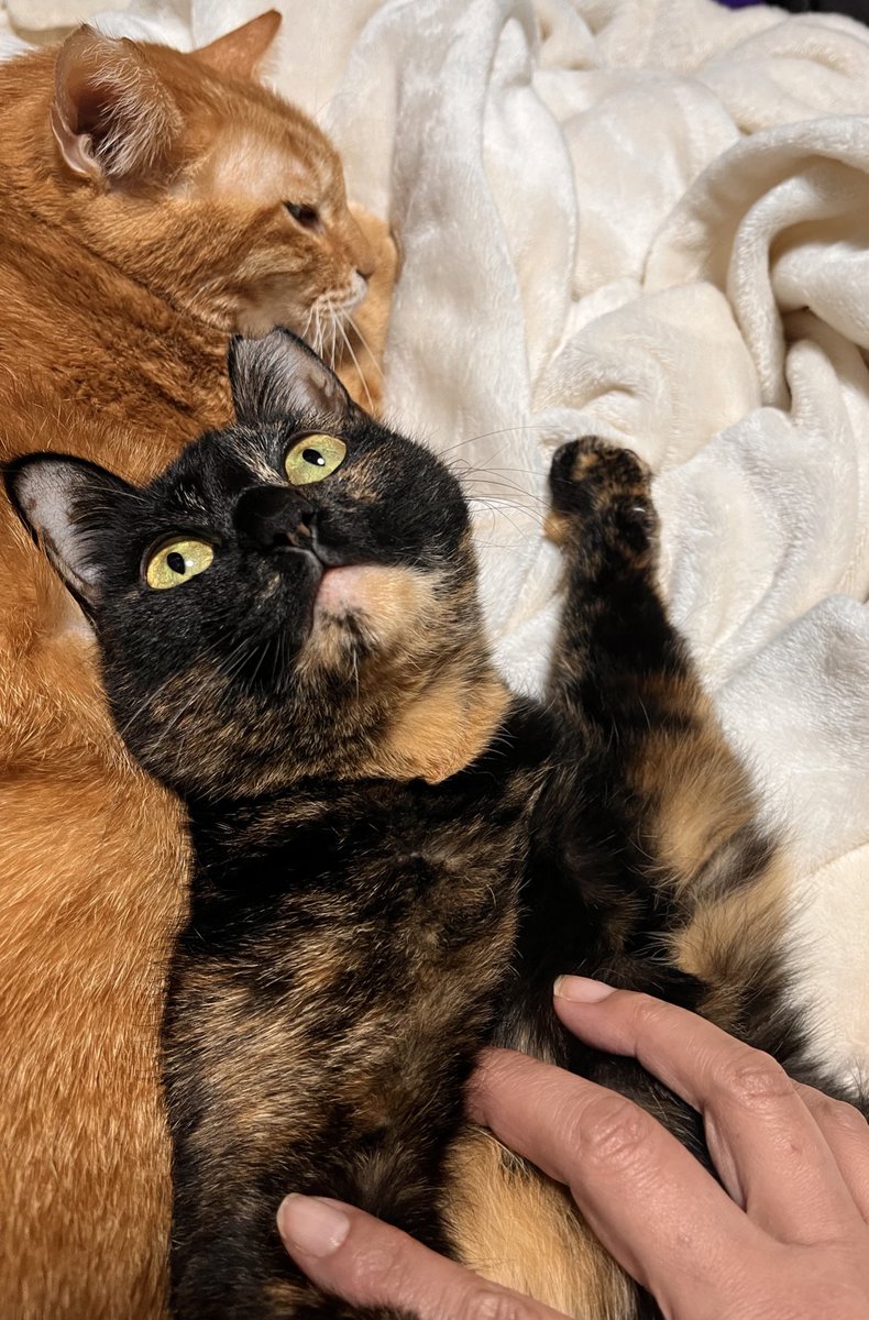 祈善聚福 善與福的循環.yso