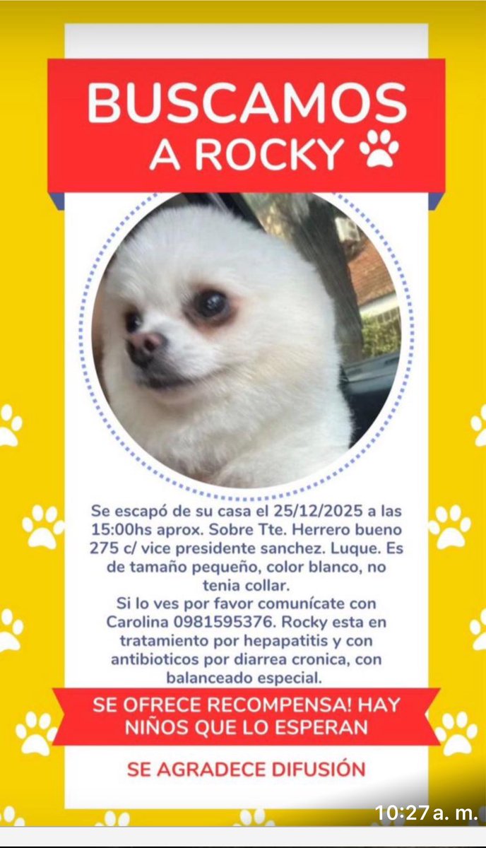 <a href="/ABCDigital/">ABC Digital</a> <a href="/UltimaHoracom/">Última Hora</a> <a href="/Telefuturo/">Telefuturo</a> Devuelvan a Rocky,sus dueños están sufriendo su ausencia,tiene buena recompensa.