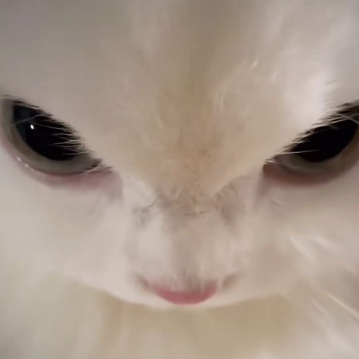 jei ⋆⭒˚.⋆ (@lifexaviers) on Twitter photo 