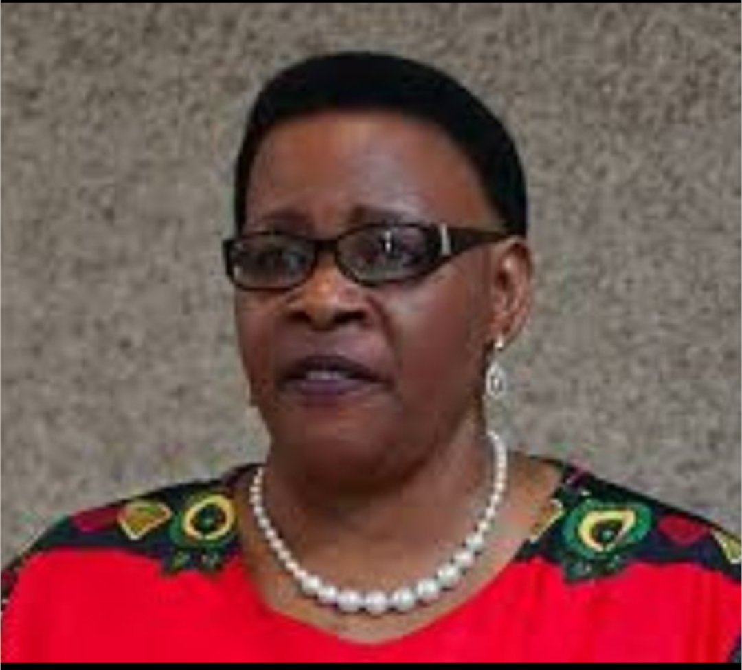 Why is she being allowed to steal from the public. I mean $400 000 is a lot for a country with no medicines or good roads 

Nxaa mhani, Chinomona