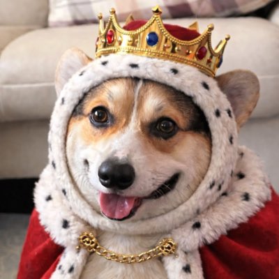 姫花とエスまる tweet media